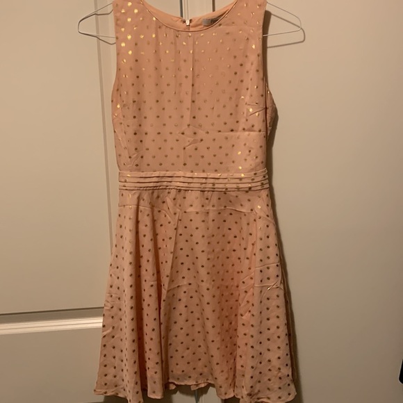 Light Blush with Gold Polka Dot Dress - Picture 4 of 4